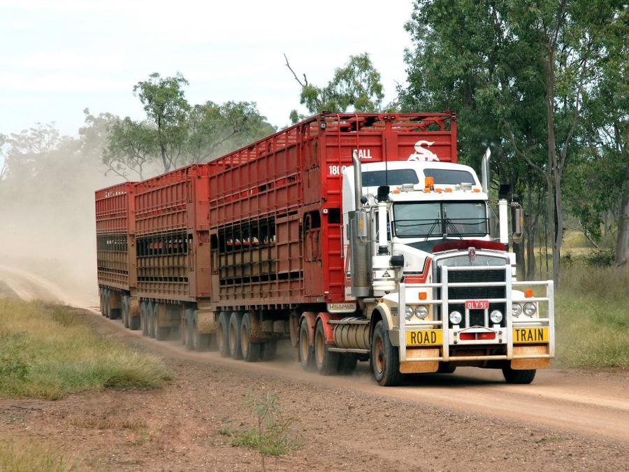  Kenworth T650 1987 года  (AU) (фото 1 из 2)